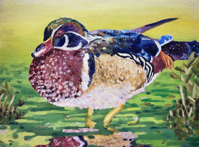 Wood duck in green pond painting.
