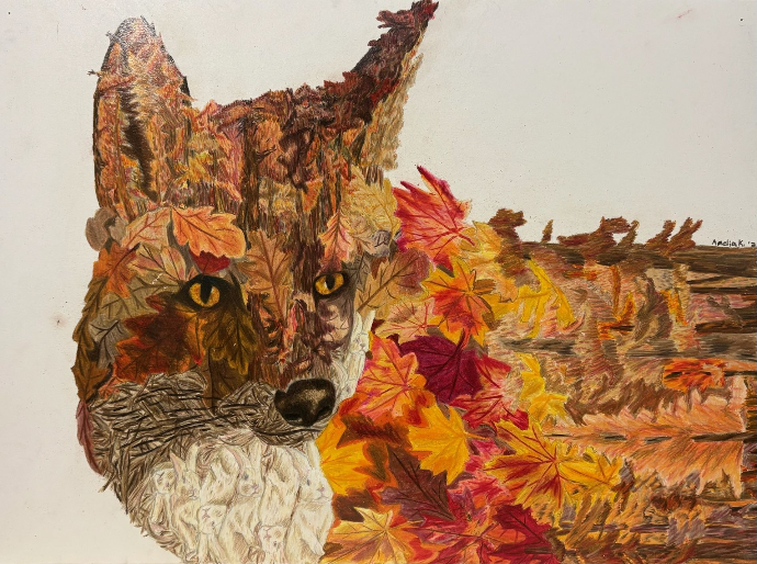 Fox made of trees, leaves, bunnies, and sticks colored pencil drawing.